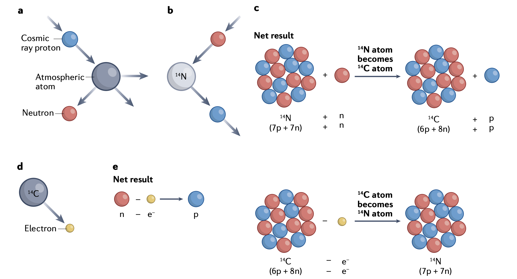 Radiocarbon figure
